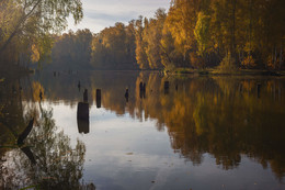 Осенние зарисовки / Подмосковье, река Сушка