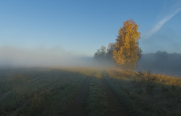 Осенним утром / ***