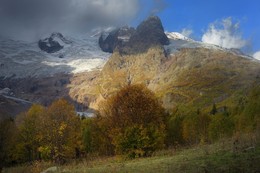 Осеннее утро / Алибек