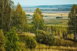 Левитановская осень / Снято по дороге в Оптину Пустынь