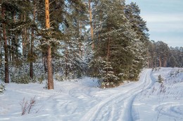 &nbsp; / Лесопарк Лебяжье,Татарстан