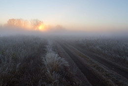 Утренний туман / дорога,туман,мороз,рассвет,осень