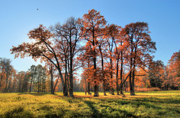 В парке / Царское Село