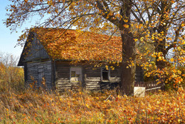 Домик, где поселилась осень / Nikon D610