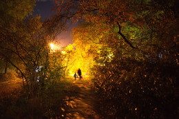 осень в городе / Новосибирск