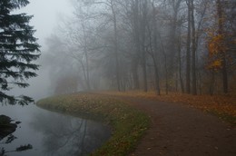 Осеннее утро... / Екатерининский парк