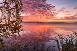 Позолоченный сезон / снимок сделан на Архиповском озере.