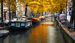 Позолоченный сезон / Осенний Амстердам