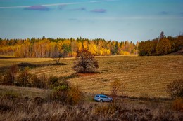 Осенние просторы / кукурузные поля под Минском