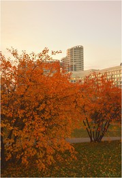 осень в городе / ***