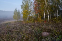 Октябрь на лесной опушке / Россия. Тульская область. Ленинский район. Архангельское.