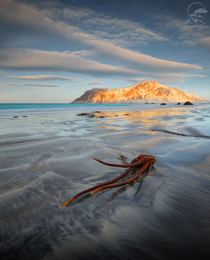 "OCTOPUS" / Снимая осень, начинаешь думать от зиме ))
Skagsanden beach, Norway