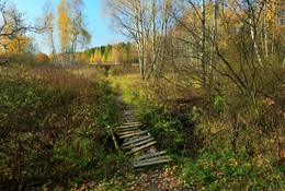 Старый мостик в осень ... / &quot;Эта теплая винная осень
 Опьяняет своей красотой,
 И среди неподвижности сосен
 Лист березы звенит золотой ...&quot;
 О.Бондарук