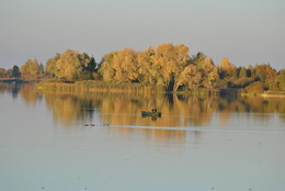 Умиротворение осени / Осень