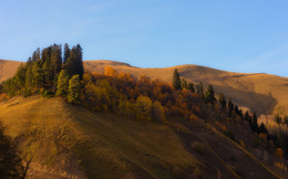 Осень / Осень