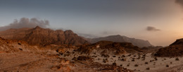 Пустыня просыпается (панорама) / Пустыня Негев, Израиль