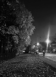 &nbsp; / Осень ночь дорога