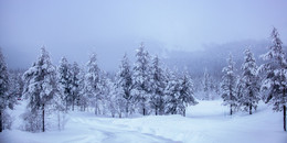 Снежный край / Северная Финляндия.
Юллес. Заполярье