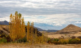 Осень / Осень в Армении
другие мои работы здесь https://photostore.shop
