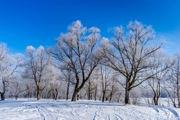 мороз / зимние прогулки