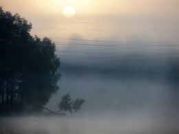 Утреннее............. / Петербург-Юкки. Август