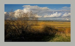 жёлтые луга. Кехта / music: Semisonic - Secret Smile
https://www.youtube.com/watch?v=0DNht5da6YM