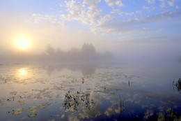 Солнце встаёт. / Рассвет на озере Сосновое у посёлка Белоомут, Московской обл.