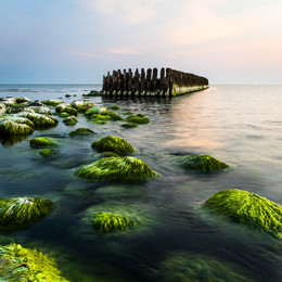&nbsp; / Old wooden waterbreak in Baltic sea