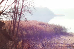 Осеннее утро | Autumn morning / Озеро Лепель, Витебская область