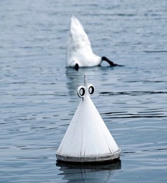 Игра в ассоциации / Лебедь, озеро, Швейцария