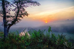 утро туманное... / Раннее утро..Туман...Природа просыпается...