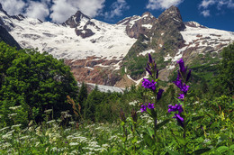 Про горы и цветы Домбая / http://www.youtube.com/watch?v=iHj8MwAMGpA