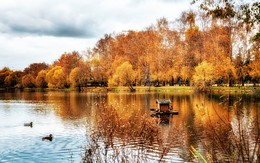 Осень. / Осень.