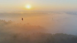 В полете / Туманное утро. Высота 65 метров. Фото с дрона.