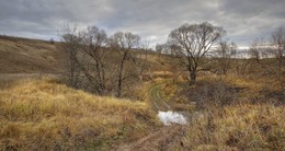 Осень / Тульская обл.