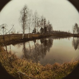  / Дачные зарисовки