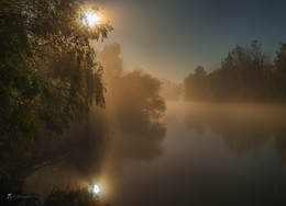 Осенние сны Волги / Туманное полнолунье. 
Сонная река, яркая луна.
Из осенней фотоэкспедиции по Астраханскому заповеднику. 
Фотопроект «Дельта Волги». Обжоровский участок, Астраханского заповедника. Середина октября, 2018 г.