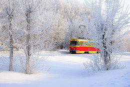 Зима / Трамвай в среди снегов