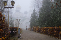 Foggy day / No comments
