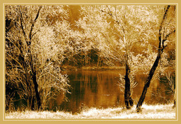 Солнечный берег / ***