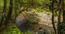 Тропою в самшитовой роще / Сочи, Хоста, Самшитовая роща

http://www.youtube.com/watch?v=eo82c4YzqMQ