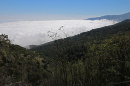 Чаша полная / Поднимаясь на Тейде.