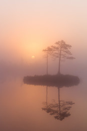 Sunrise for two / sunreise in kemeri swamp