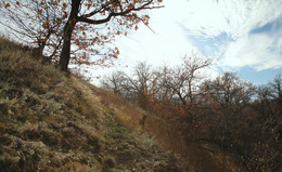 Виде́ние / новые места