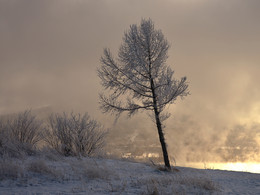 Туманная перспектива / В морозный день на высоком берегу Енисея, Красноярск