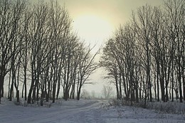 Туманная перспектива / Утро, на то оно и утро, чтобы сменить ночь на день.