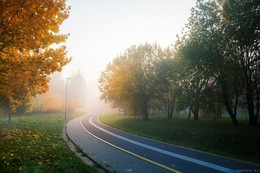 Туманная перспектива / осенняя велодорожка