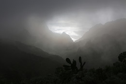 Туманная перспектива / Перевал вблизи деревни Маска. Тенерифе, Канары.
