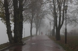 Туманная перспектива / Туман в Витебске в начале ноября 2018 г.