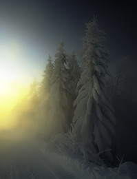 Зима в Коми / Зимний пейзаж